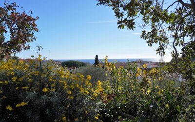 Bilocale con giardino vista mare